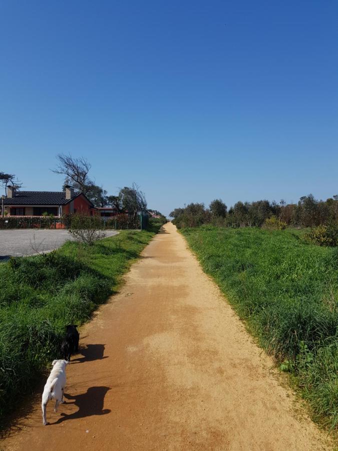 Beachwalk Guesthouse Esmoriz Ngoại thất bức ảnh